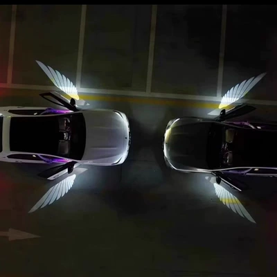 "Princess, please get in the Other lights - infrared-carbon-fiber-welcome-lights-1-pair-in-box-angel-wings