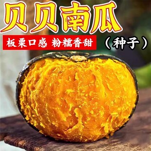 ؐؐ�Ϲ��·N�Ӹ߮a��Ŵ�����GؐؐС�Ϲ��ѷN���ļ�ͥԺ�߲˷N��