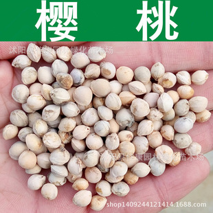 ��ľ�N�� ���Ҙ�N�� �L�� Ш�G�� ���ҷN�� 1��=1��