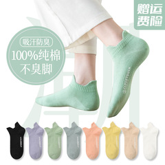 襪子女春夏淺口短襪純白女士船襪薄款吸汗襪子夏天批發全棉船襪女