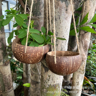Natural Coconut Shell Creative Hanging Basket Old Coconut Shell Flower Pot Handmade Coconut Shell Green Plant Hanging Pot Home Coconut Shell Decorative Flower Basket