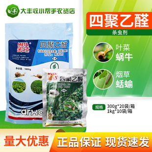 �r���������_ 6%�ľ���ȩ �~��΁ţ����������΁ţܛ�w����x��