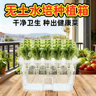 �o��ˮ��Nֲ��Ӵ���ͥ�N��ꖹ�ˮ�������҃ȟo����ˮ��Nֲ