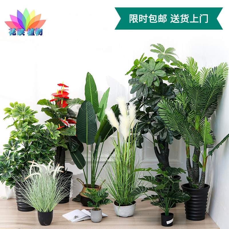 árboles de imitación planta gran plátano de plátano bonsai decoración interior adornos pájaros paraíso árboles falsos plantas verdes en maceta