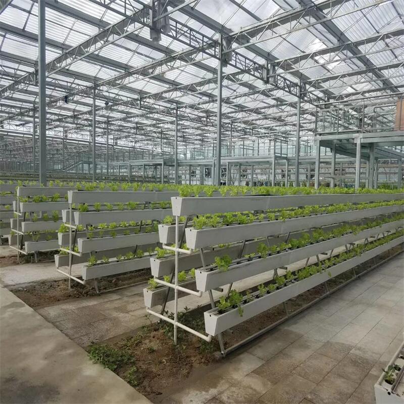 Vegetales sin suelo Un estante tanque de plantación tridimensional de varios tamaños y modelos de vegetales de hoja suministrados por fabricantes de tubos cuadrados hidropónicos image 4