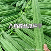 �˽���z�ϷN���Ѹ߮a�͟����˽ǽz�ϷN��Ƥ������߲˷N�Ӵ�ȫ