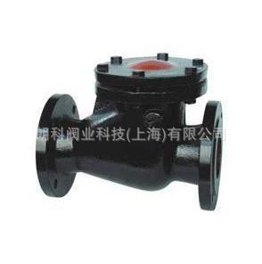 铸铁止回阀朗科阀门铸铁止回阀H44T-10法兰止回阀DN200