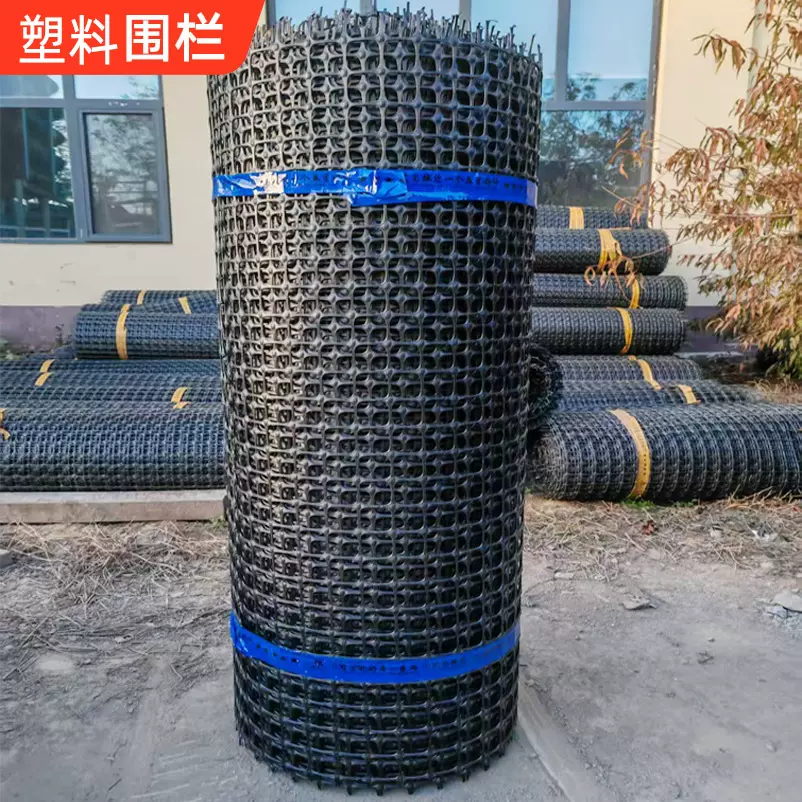 黑色塑料围栏网果园菜园养殖拦鸡鸭鹅网圈玉米网格防护网土工格栅