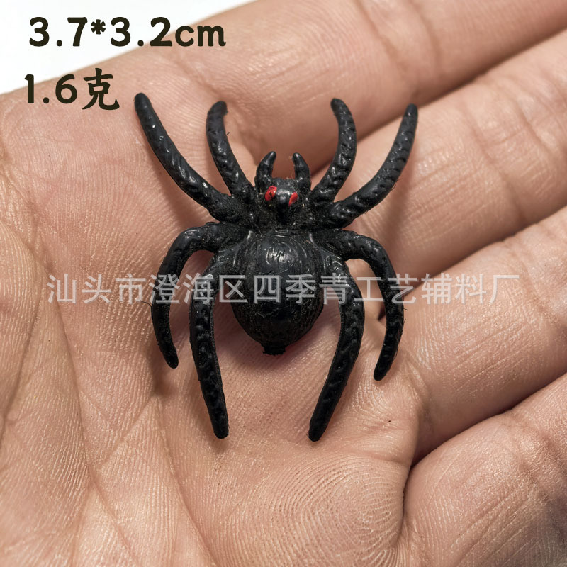 3.7cm red-eyed spider