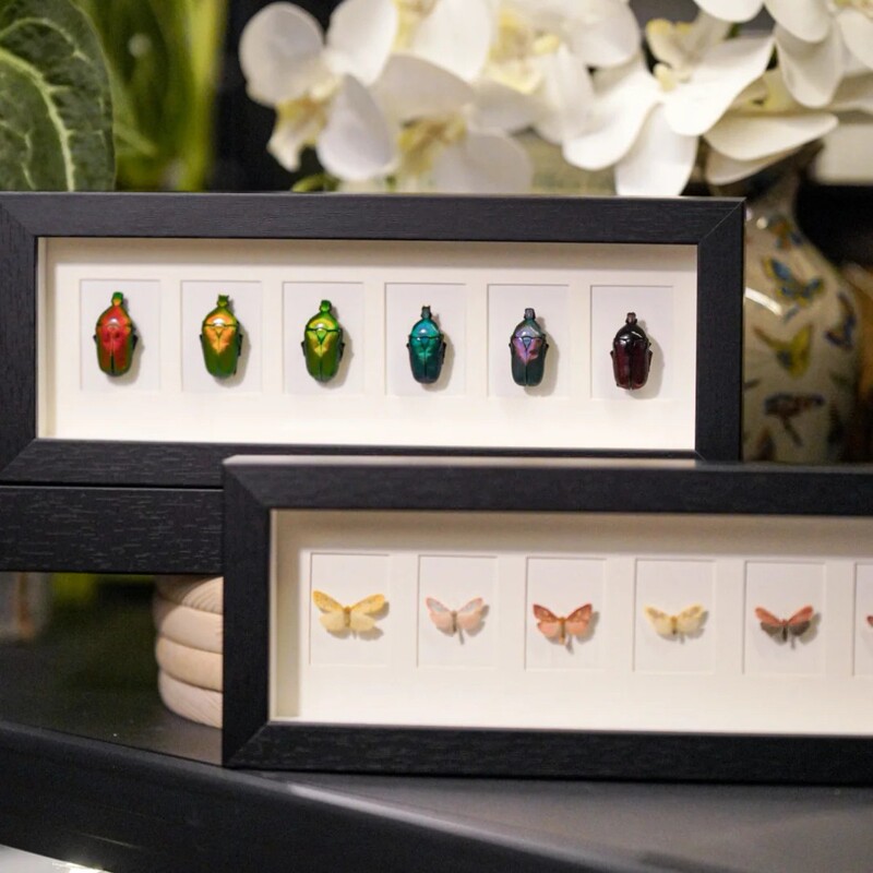 Three-Dimensional Hollow Photo Frame with a Depth of 2cm, Long Strip Multi-Grid Design, Black Wood Grain DIY Framing for Butterfly and Beetle Specimen Display Frame