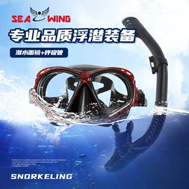 泳镜;脚蹼、手蹼;浮潜套装