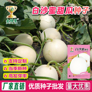 �����ɳ����ϷN�� �r��˵��r���Nֲ������������ȿ�����