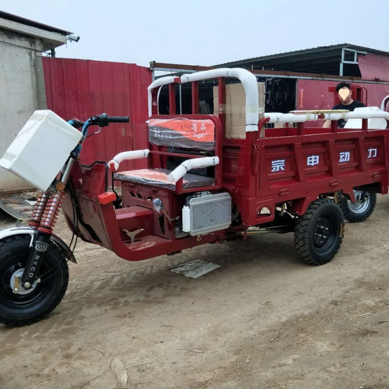 Las motocicletas de tres ruedas se pueden utilizar en la licencia, ciclomotor Zongshen Longxin, camión volquete pequeño, vehículo eléctrico de imitación de carga