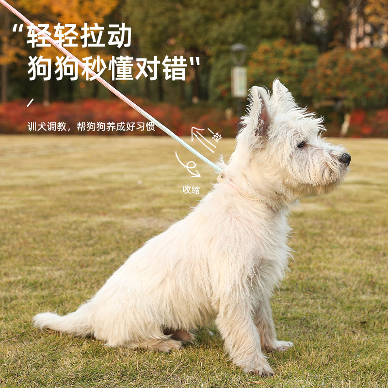 Cuerda de perro punzón a prueba de explosiones P Cadena de perro correa de perro anti-rotura Cadena de perro perros medianos y grandes a prueba de explosiones punzón correa de perro