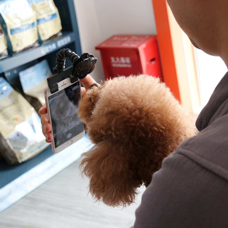 Pet Selfie Artifact Cat Dog Look At The Lens Capture Rod Toy Pet Camera Phone Clip Pet Selfie Rod