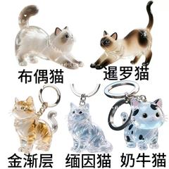 新しいかわいい猫ペットの毛のお土産キーホルダーバッグペンダントギフト猫の毛クリエイティブ透明ペンダント