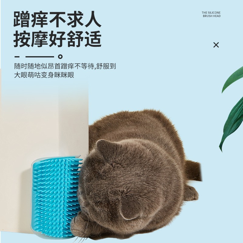 猫の壁の隅に毛をこすります。壁の隅にマッサージします。|undefined