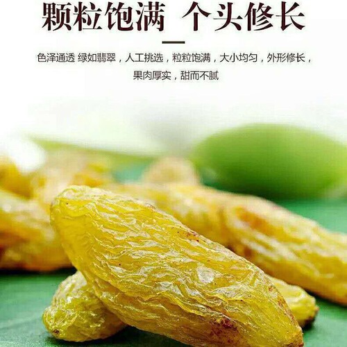 Wholesale Xinjiang raisins large particles green Xiangfei naturally dried seedless original flavor Xiangfei raisins snacks