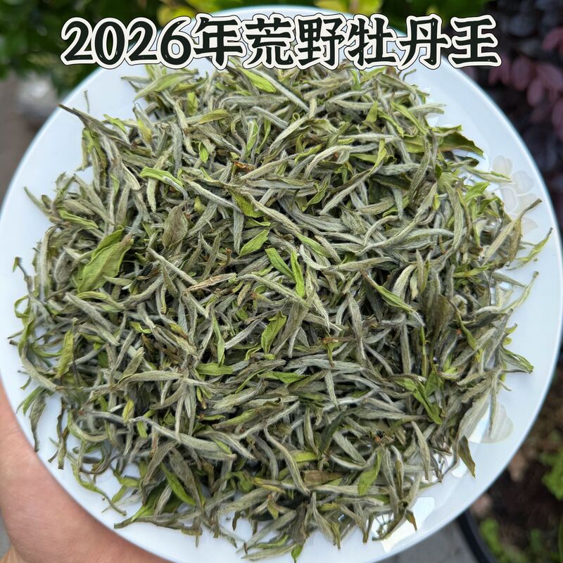 2026 Wilderness Premium Peony King Loose Tea White Luxury Silver Needle Gift Box for Personal Use White Peony White Tea Leaves