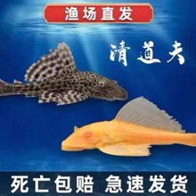 ������坍�~������������Ů�����^�p�~���~�S�������������~