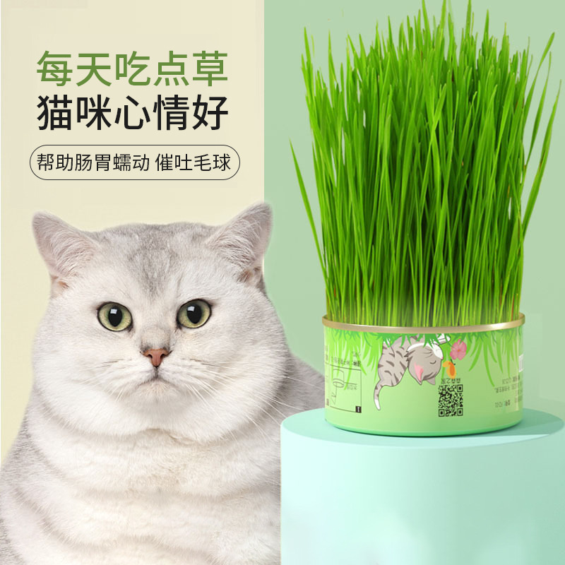 Lazy Cat Grass Canned Catnip Hairball Catnip Cultivation Pet Cat Snack Wholesale Distribution Cat Snack 6