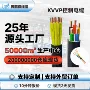 多芯屏蔽平方控制电缆