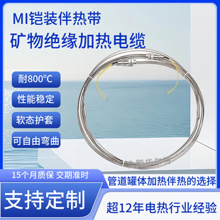 Walt Mineral Insulated Heating Cable Armored Heating Wire MI Electric Tracing Cable Stainless Steel Armored Heating Tracing Cable