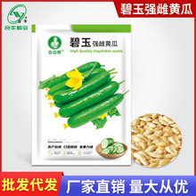 本地黄瓜种籽老品种黄瓜甜脆绿肉水果黄瓜种子农家阳台蔬菜种子