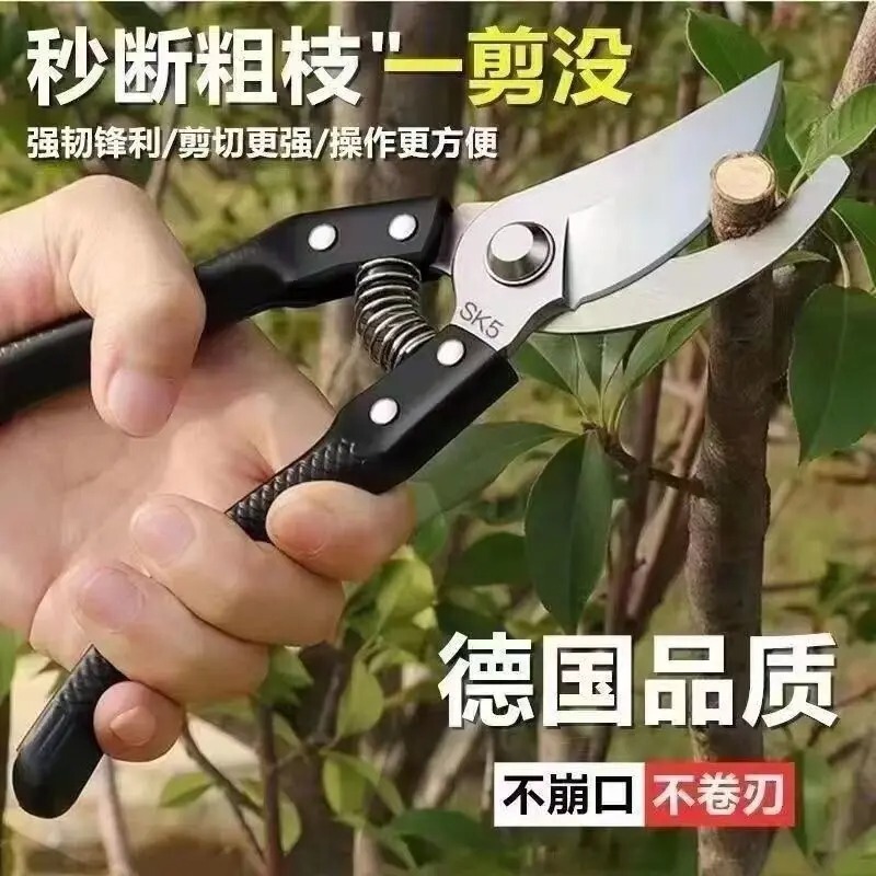 Stainless Steel Pruning Scissors, Household Gardening Scissors, Thick Fruit Tree Pruning Scissors, Garden Pruning Scissors Wholesale Stainless Steel Pruning Scissors, Household Gardening Scissors, Thick Fruit Tree Pruning Scissors, Garden Pruning Scissors Wholesale