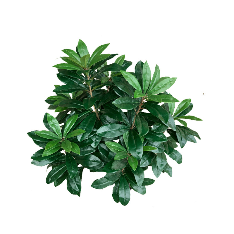 XRS-067 7#杨梅叶7#盆栽0 (10).jpg