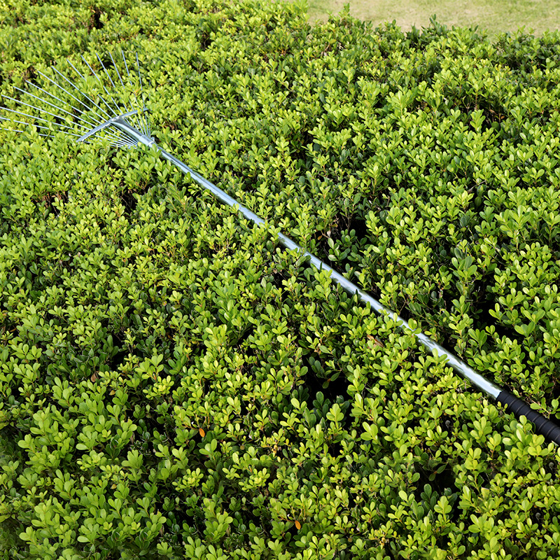 家用农用耙子园艺用品搂草草耙不锈钢15齿树叶耙伸缩杆园林工具