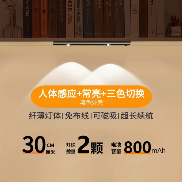 ♤♤◈◈♥♥ Plastic model - black - 30cm - night sensor + all-day sensor + always on + three-color switching + brightness adjustment - buckle fixed ♥◈♤♤◈
