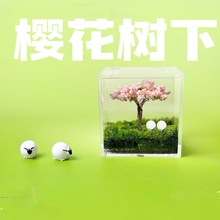 ˽�˲�ƺ̦�\΢���^�k����ֲ�������҃Ȅ���Gֲ���˄���Y�ﮅ�I