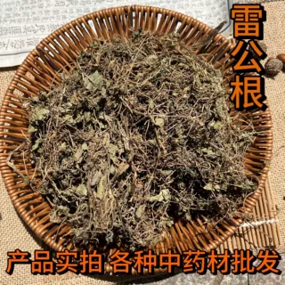 雷公根 积雪草、马蹄草、崩大碗、缺碗草干货，人工采收无硫晒干