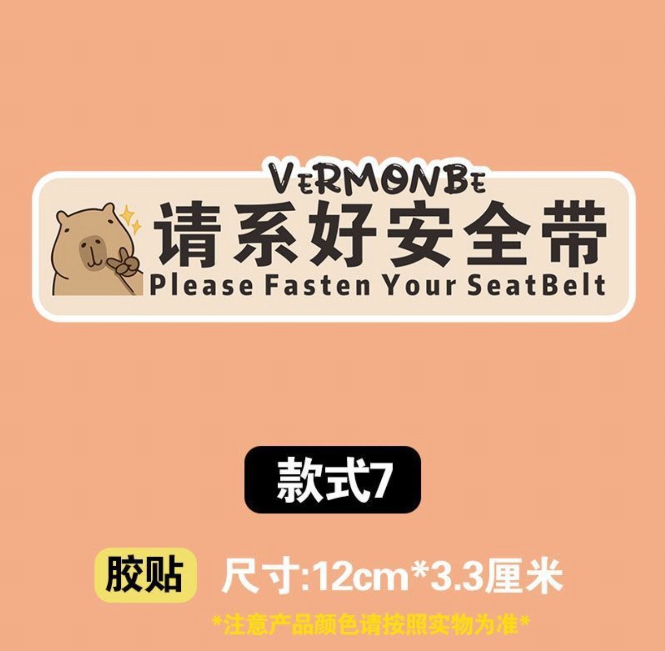 Please fasten your seat belt