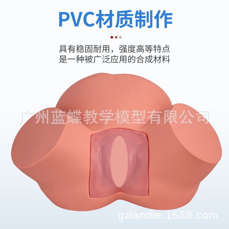 ����ʾ��ģ�� �߼��Ѳ�ʾ��ѵ��ģ�͸������Ѳ����������ѧģ��