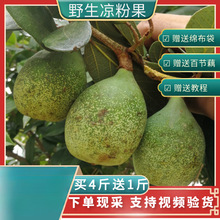 Ұ���������Z����ľ�z�^��ĸ����ľɏ���ִ�����Ѳ�500g���]