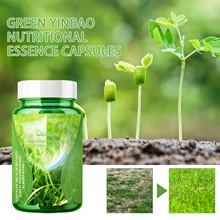 YegbongֲIBAz ԾG~LIBҺֲa䄩