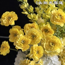 ���Q�¿��Sɫ¶ɏ�S��4�^ꖹ�¶ɏ �o�~ �Gɫ��Y·����׼ٻ���