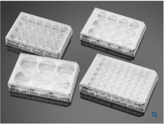 康宁TC处理 96孔黑色平底微孔板 货号353376