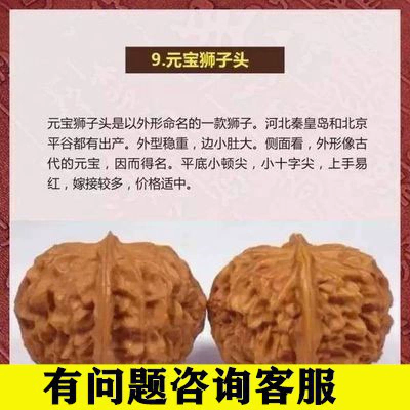 Рассада грецкого ореха прививка дворец фонарь голова льва Вэнь играть Рассада грецкого ореха в горшке Посадка рассады грецкого ореха Посадка в Южной и Северной