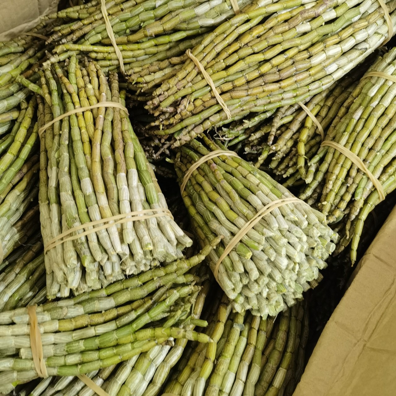 Fresh Tie Pi Shi Hu Dendrobium Stems 500g Five Year Huoshan Harvest Ready to Eat key features