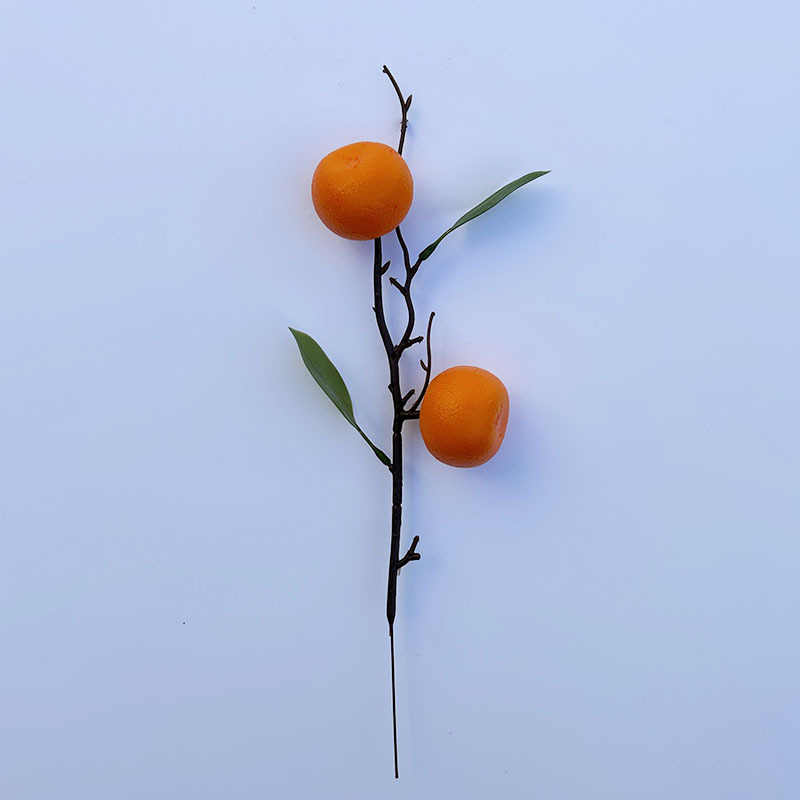 New year living room decoration simulation fruit high-end photography props fruit plant decoration red fruit simulation Persimmon_voghion.com