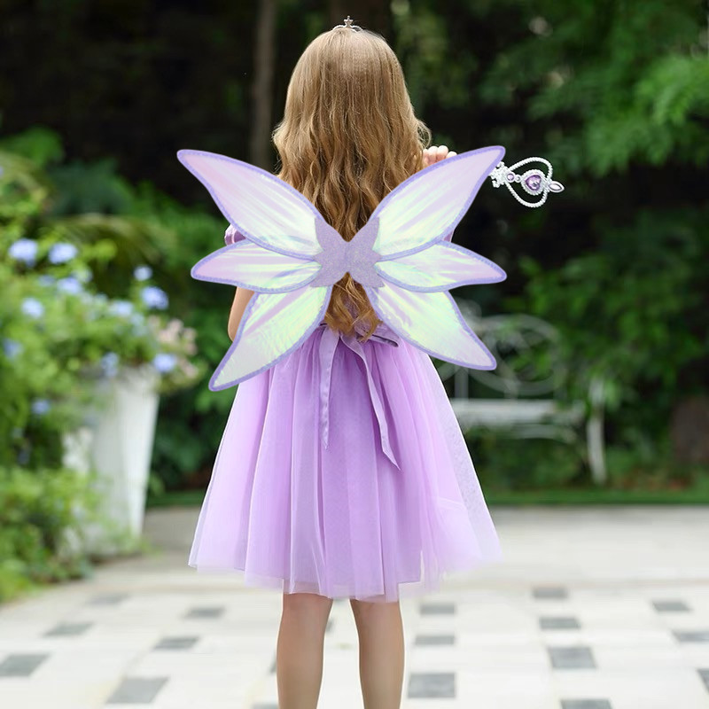 6片透明翅膀 (1).jpg