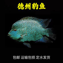 �д��͟Ꭷ�^�p�~���_˹�������y���؈D�W�^�M���ǵ��ݱ��~�G����