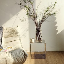 ɳ�l߅�׾W�t�йń�����������ܾ��lС����̼��䓈󿯼ܺ��s���