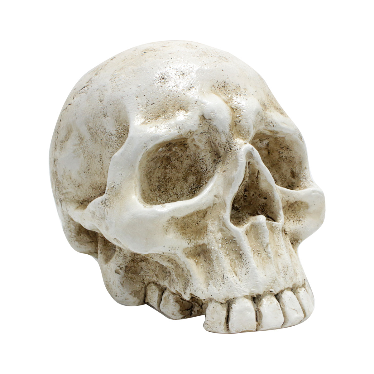  Explosive Halloween Realistic Skull Horror Zombie Head Undead Festival Air Model Ghost Festival Skull Decorative Pendulum