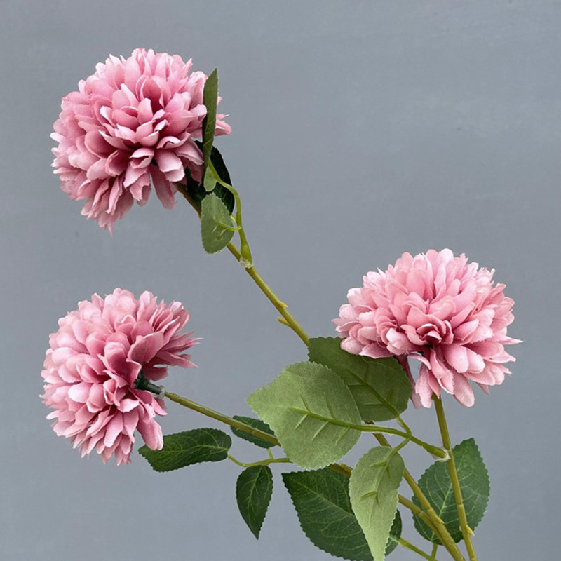 3 Head dandelion three leaves-autumn pink