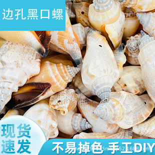 �ڿ���߅�� ��Ȼɫ����ؐ�����S���l��ˇƷ�������