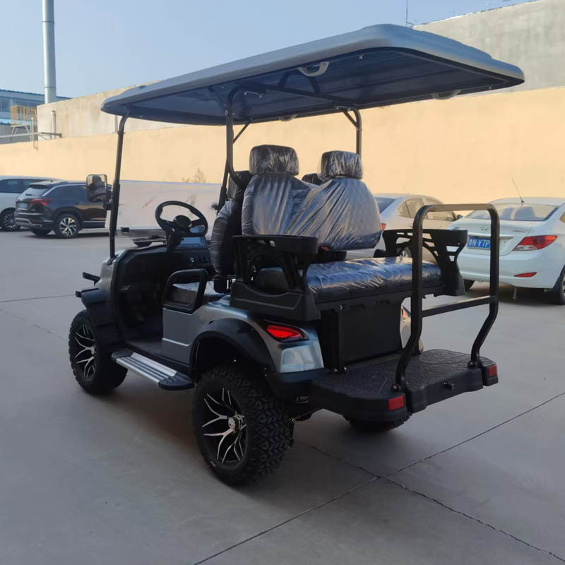 Dewu Junheng Electric Golf Cart 4-Seater 1+1 for Tourist Areas, Parks, Factories, Passenger Transport, Sightseeing, and Vacation Use